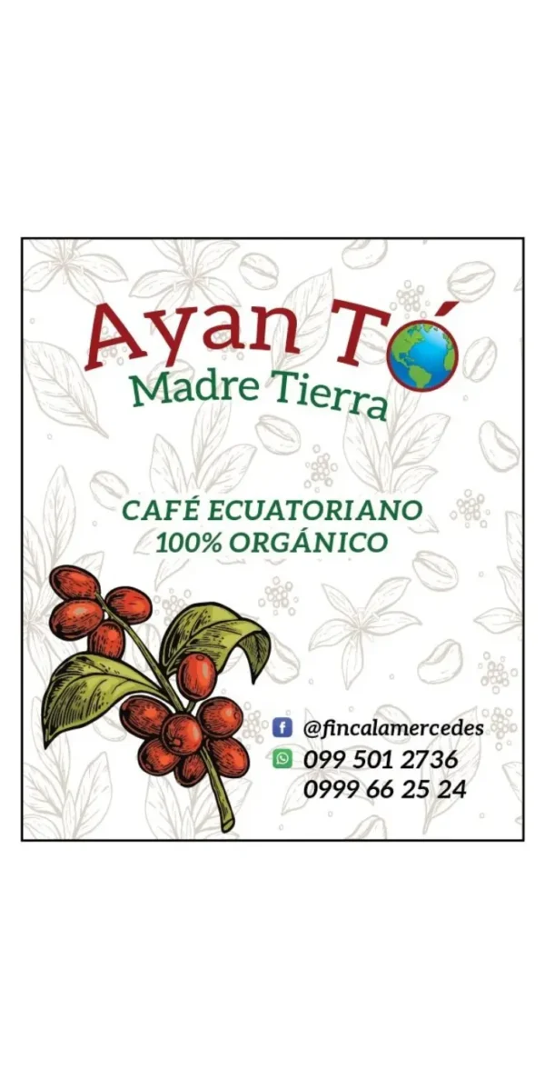 Café Ayan Tó – Finca La Mercedes