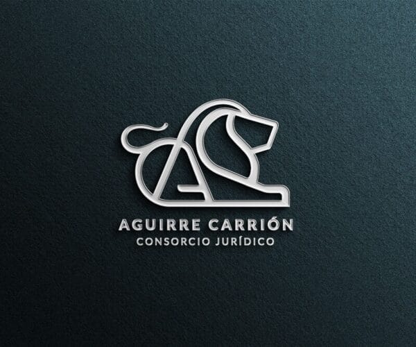 Blindaje Patrimonial / Derecho Penal Económico - Consorcio Jurídico Aguirre Carrión