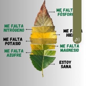 ARTES GRÁFICAS - LALETRAIMPRENTA