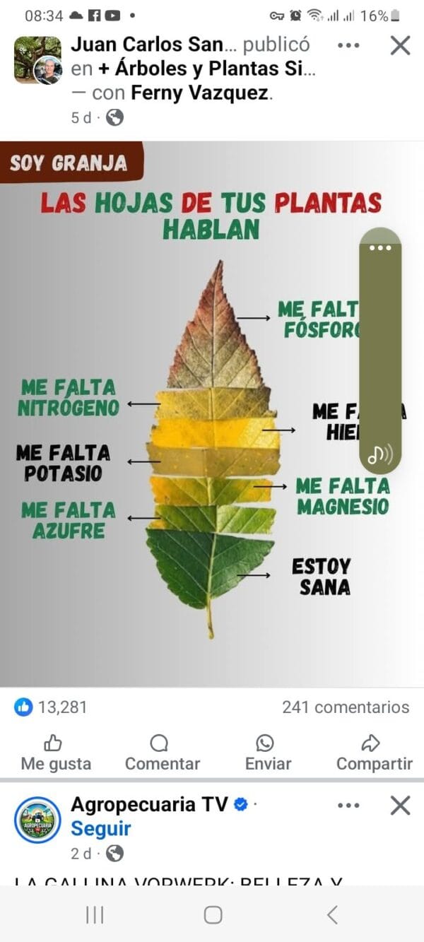 ARTES GRÁFICAS - LALETRAIMPRENTA